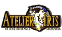 Atelier Iris -Eternal Mana- 