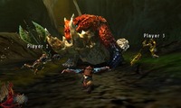 Multiplayer monsters are
                                        more challenging and require
                                        good cooperation.
