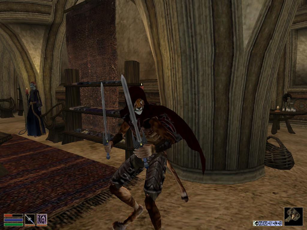Khajiit adventurer, with modded gear. Note the stylish twin shortswords and red cloak.