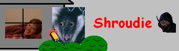 shroudie@rpgamer.com